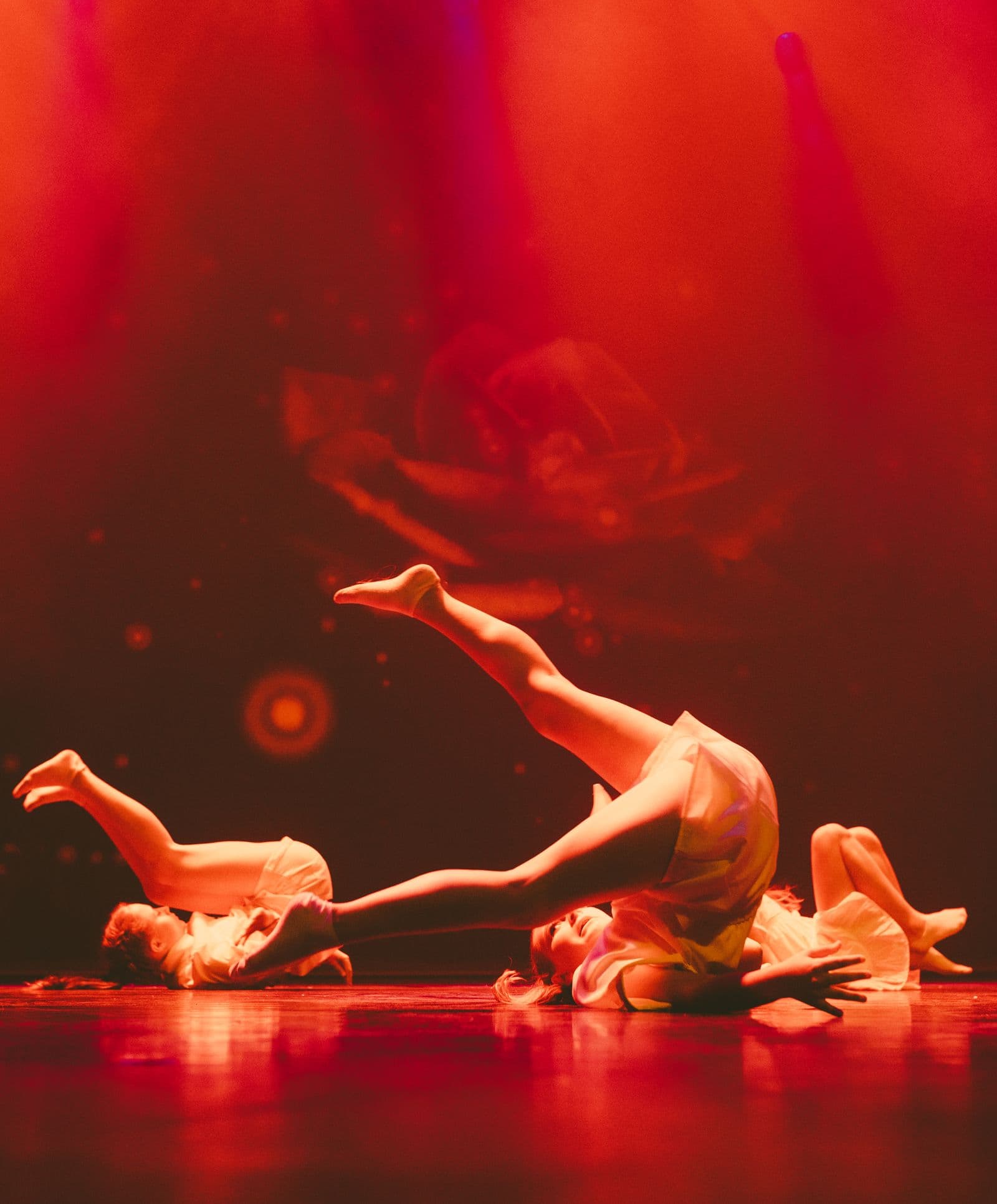 Cours de Afro Dance — Nova Dance Studio